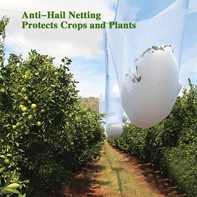 Anti hail net