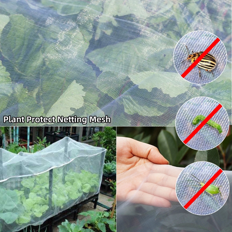 Insect net